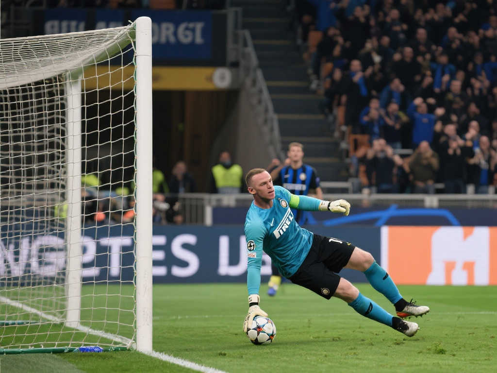 多夫比克的 多夫比克的