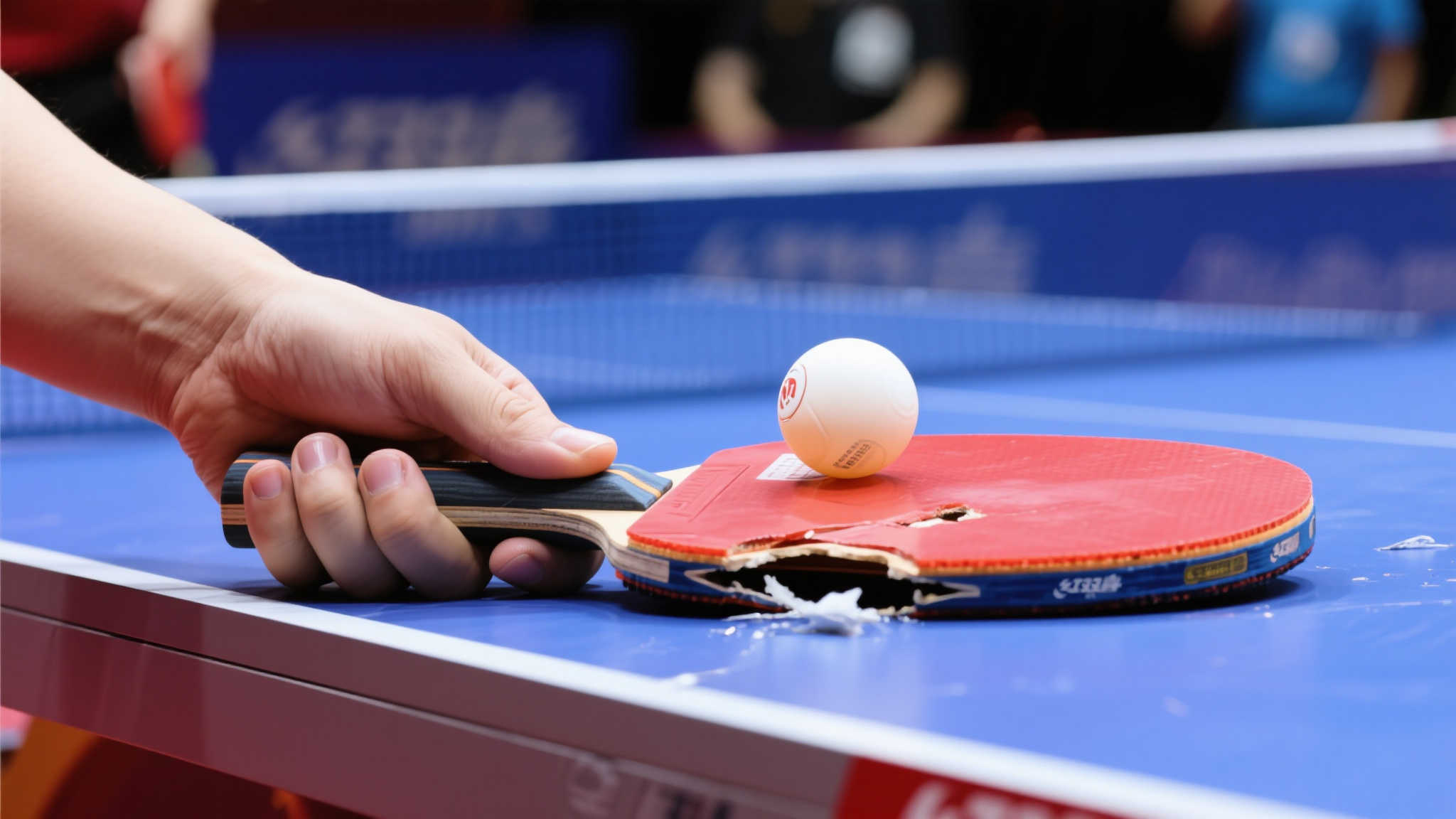 单上的球员 单上的球员